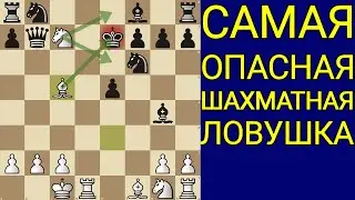 ЭТА ЛОВУШКА РАЗНОСИТ ЛЮБОГО СОПЕРНИКА ЛЮБОГО УРОВНЯ. Шахматы ловушки. Шахматы обучение. Шахматы