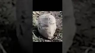Irrefutable PROOF That Aliens Exist!