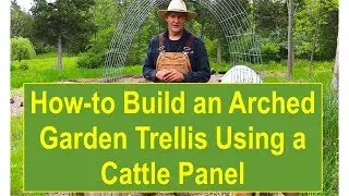 Tips and Ideas on How-to Build an Arched Garden Trellis Using a Cattle Panel