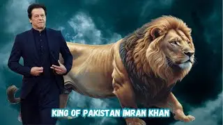 King of Pakistan imran khan new song #imrankhan #pti #ptiimrankhan #newsong #imrankhannewsong