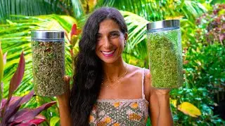 How to Grow Sprouts EASILY for 25 Cents a Day! 🌱Jar Growing Method for Beginners