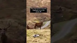 Scottish Highlands are out of this world! ❤️ 