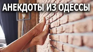 Жена так кричала... Анекдоты из Одессы №371