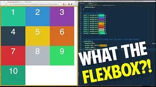 Wrapping elements with Flexbox! - Tutorial 4 of 20 💪