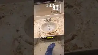 CRUSTY Sink Deep Clean!