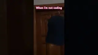 When I’m not coding #trending #viral #coding