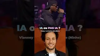 IA ou pas IA ? Vianney avec La vie qu’on mène de Ninho