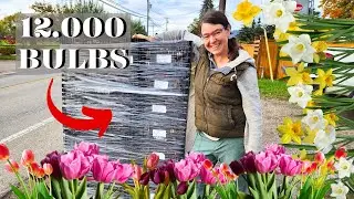 $6500 of Tulips!!! Van Noort Unboxing