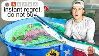 Adding TONS of FISH to STRANGE SALTWATER POND Bought OFF THE WEB… *scam?*