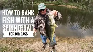 How to Bank fish with a Spinnerbait for big Bass