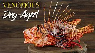 I dry-aged a VENOMOUS fish ate it and this happened!