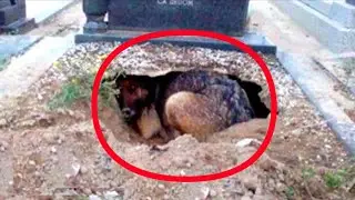 Bu itni Qilgan ishi Internetni portlatdi, (Hamma shokda) - Tezroq ko'ring !