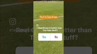 Real Grass Vs The Fake Stuff [Green Lawn] [Lawn Care] [Lawn Service] [Lawn Specialist] [Lawn Repair]