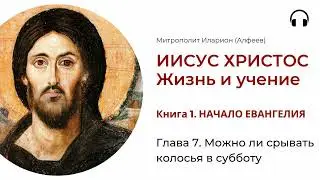 Иисус Христос. Жизнь и учение. Книга 1. Глава 7. Можно ли срывать колосья в субботу