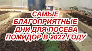 КОГДА СЕЯТЬ ТОМАТЫ В 2022 ГОДУ? Не спешить сеять слишком рано! Посев по лунному календарю!