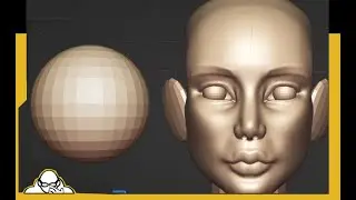 How To Make a Female Human Head Step by Step Instructions Blender 3.3