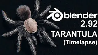 Making a Tarantula in blender 2.92 [Timelapse]