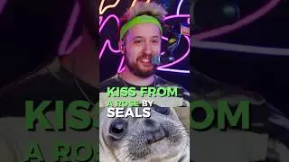 Kiss From A Rose by Seals