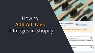 How to Add Alt Tags to Images In Shopify without Apps | Alt Text SEO Basics for Shopify Stores