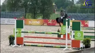 2017 Z mare  Show video  Top amateur jumper FOR SALE