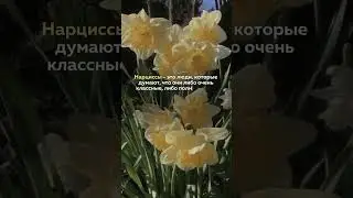 Отправляй своему нарциссу 😅