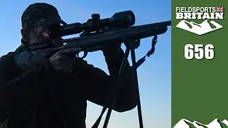 Fieldsports Britain – foxshooting 'thermology'