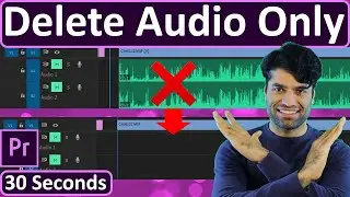 How to delete audio from video Premiere Pro