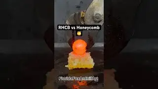 RHCB vs Honeycomb 🍯 #Satisfying #Experiment #Honeycomb #RHCB