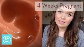 4 Weeks Pregnant: What You Need To Know - Channel Mum