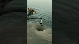 jindagi ki talash mein ham maut ke kitne pass aa gaye 😭 WhatsApp status full screen #jindgi #viral