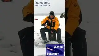 Спортивная удочка для ловли окуня