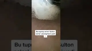 BU TUPROQ NE-NE SULTON NE-NE JOHONGIRLARNI YEDI ~ Abdulloh Domla