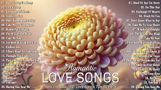 Falling In Love Songs Collection 2024🌸Most Old Relaxing Beautiful Romantic Love Song🌸Love Music