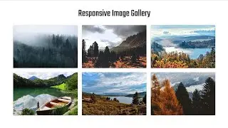 Responsive Image Gallery using Materialize CSS