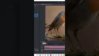 Lightworks Tutorial: How to Rotate Video in Lightworks
