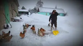 ЛЮТАЯ МЕТЕЛЬ/ ТО ДОЖДЬ ТО СНЕГ/ ОТКАПЫВАЕМ ХОЗЯЙСТВО/