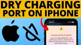 How to Dry iPhone Charging Port - 2024