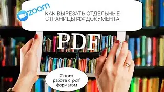 ZOOM как вырезать отдельные страницы PDF книги/документа