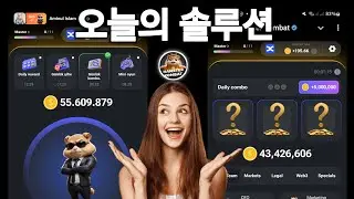 8월 30-31일 햄스터 컴뱃 데일리 콤보 & 암호 코드 오늘 🔥