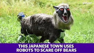 This Japanese town uses robots to scare off bears