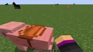 HOW TO TRAIN AND RIDE A PIG IN MINCRAFT 2021?