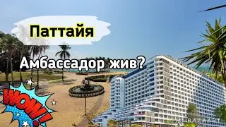 Паттайя Амбассадор Возрождение легенды ✌️