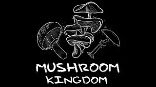 Mushroom Kingdom Playthrough