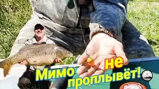 Рабочая насадка для карпа!!! Супер открытие летнего сезона!!!