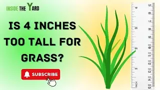 Is 4 Inches Too Tall For Grass? Know What Gardeners Say