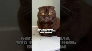Встала на весы, жрица колбасы 