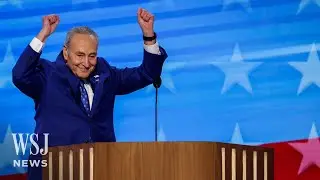 Majority Leader Schumer: Democrats Will Hold the Senate Again | WSJ News