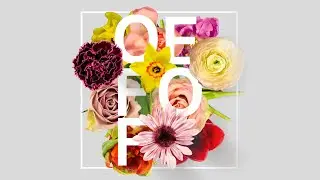 How to Create a Floral Typography Text Animation Effect in OFFEO