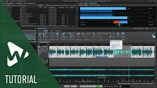 Audio Montage Overview | WaveLab Cast 2