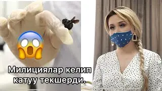 Асель Кадырбекованын салонун ТАРАКАН басып кетиптир....